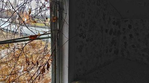 December 21, 2014 - IMG_4122er.jpg