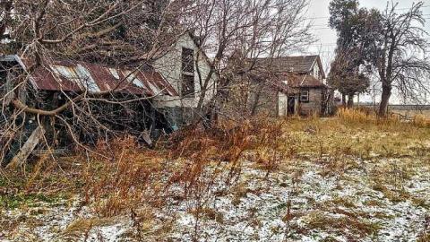 December 21, 2014 - IMG_4139er.jpg