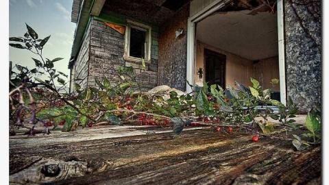 09/14 - Melancthon-(ghost-town)30.jpg