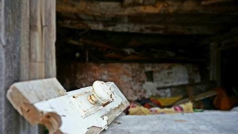 Hide N Seek - DSC08316-cut.jpg