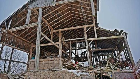 Hide N Seek - DSC08322-cut.jpg