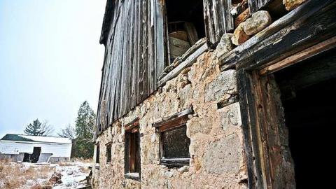 Hide N Seek - DSC08324-cut.jpg