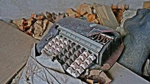 Hide N Seek - DSC08330-cut.jpg