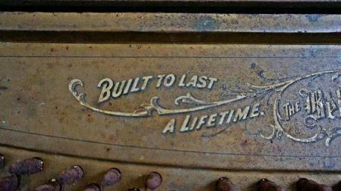 Hide N Seek - DSC08351-cut.jpg