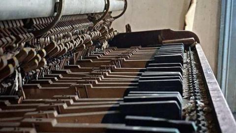 Hide N Seek - DSC08355-cut.jpg