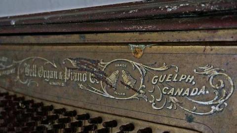 Hide N Seek - DSC08359-cut.jpg