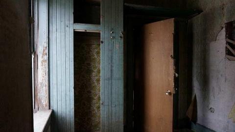 Hide N Seek - DSC08367.jpg