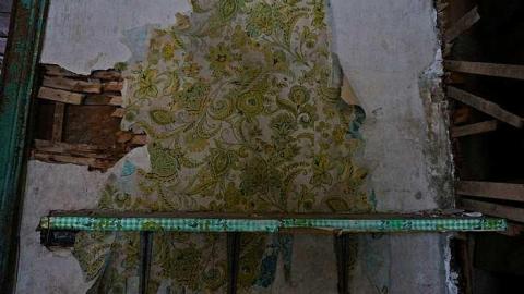 Hide N Seek - DSC08374-cut.jpg