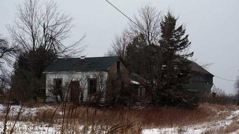 Hide N Seek - DSC08396-cut.jpg