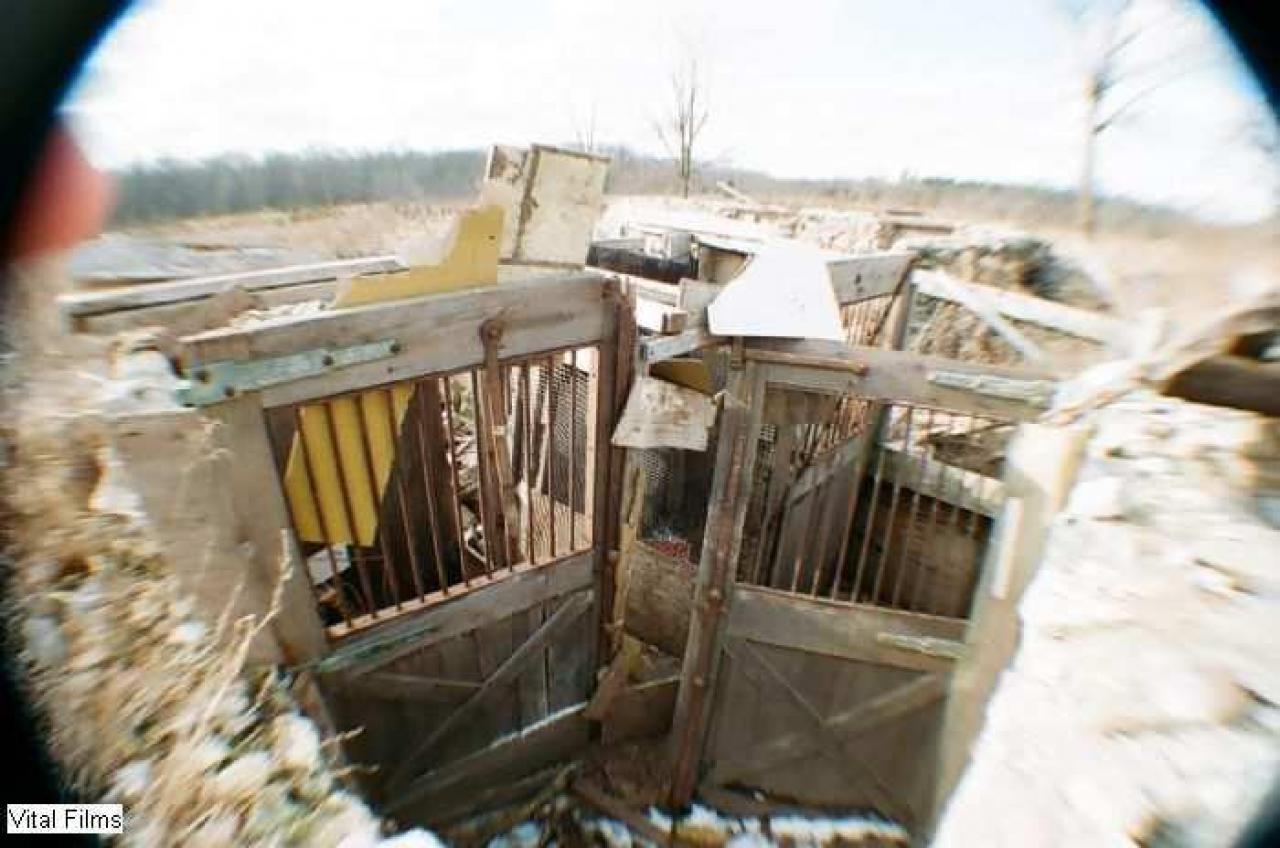 '10 visit - 009_016.jpg