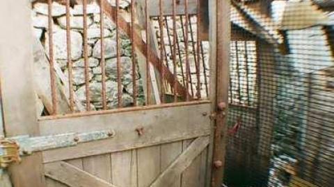 '10 visit - 010_015.jpg