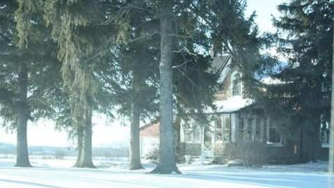 Mount Zion - Mount-Zion13.jpg