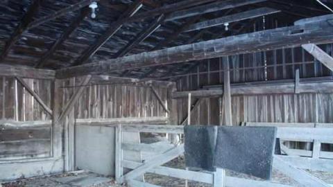 Mount Zion - Mount-Zion17.jpg