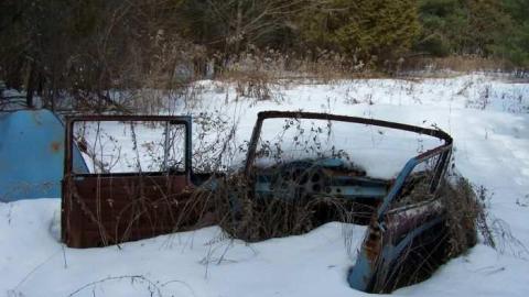 March 3,2011 remains cover photo