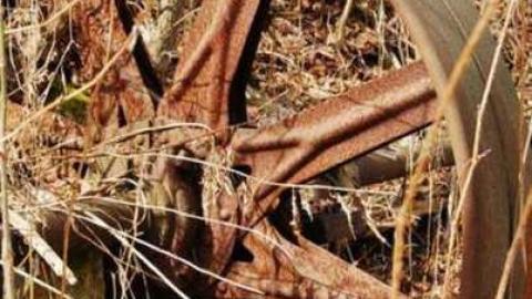 Progreston Falls/Mill cover photo