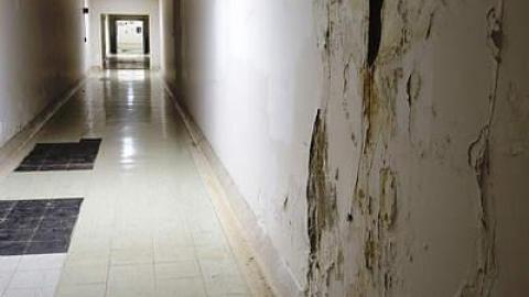 Evade '15 - DSC02051.jpg