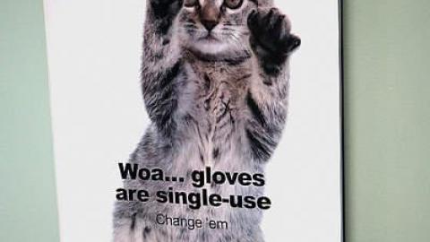 Evade '15 - DSC02173.jpg