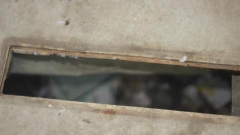 Church - Frog-Lake2.jpg