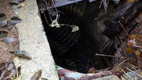 Abandoned Ski Hill - Comox Valley C (Puntledge - Black Creek), British Columbia