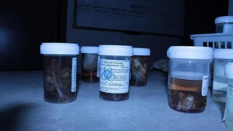 Photo from Oakpark Hospital