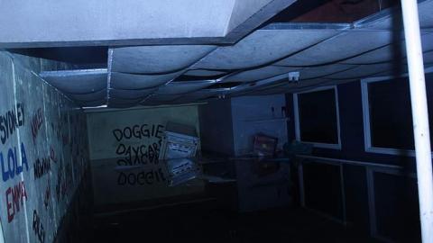 Oakpark Hospital - The-Pet-Vet50.jpg