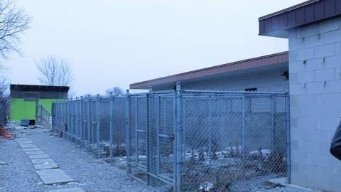 Oakpark Hospital - The-Pet-Vet53.jpg