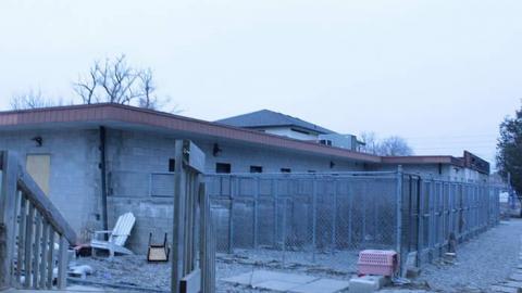 Oakpark Hospital - The-Pet-Vet55.jpg