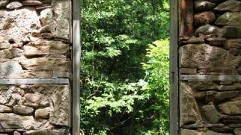 River and Ruin photo 3