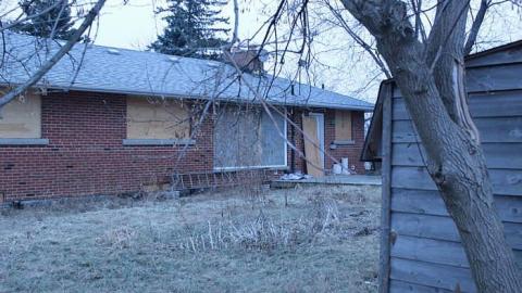 Zlatko's house - The-Pet-Vet62.jpg