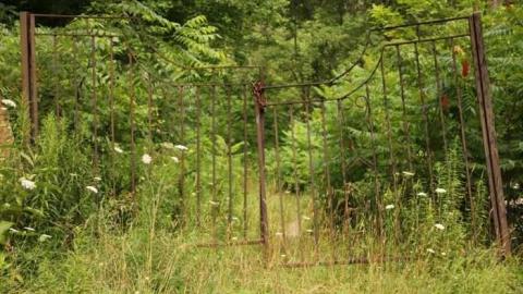 Progreston Falls/Mill - Progreston-(ghost-town)8.jpg