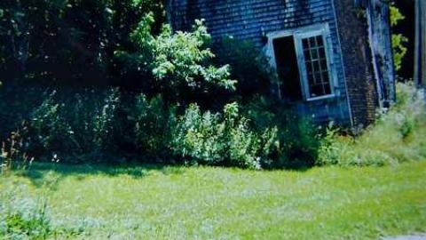 Family Jewels - Eugenia-Falls--Ghost-Town135.jpg