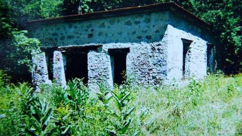 Family Jewels - Eugenia-Falls--Ghost-Town136.jpg