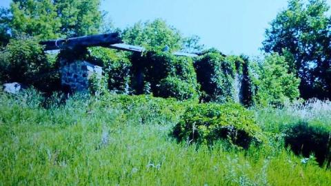 Family Jewels - Eugenia-Falls--Ghost-Town134.jpg