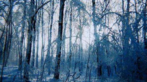 Winter 2005   35mm - CFB-Edgar415.jpg