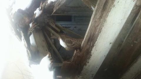 Photo from While on a Walk