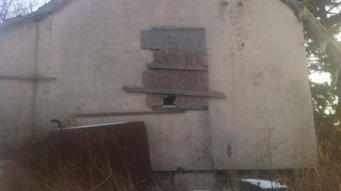 Photo from While on a Walk