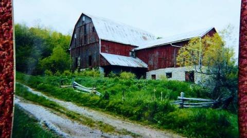 Gone in Glen Huron photo 3
