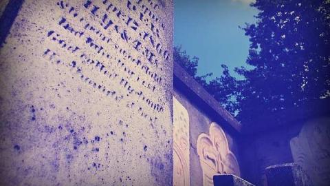 Fannie Ann, Forever 19 - CadeGillam-Cemetery10.jpg