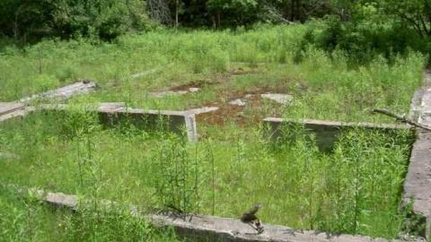 Next flag stop: Furnace Falls  - Furnace-Falls-(ghost-town)-26.jpg