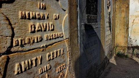 Fannie Ann, Forever 19 - CadeGillam-Cemetery21.jpg