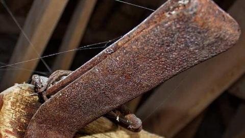 Say Cheese! - Black-Horse-Corner-Ghost-Town9.jpg