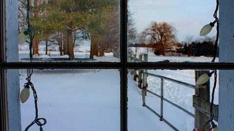 Say Cheese! - Black-Horse-Corner-Ghost-Town42.jpg