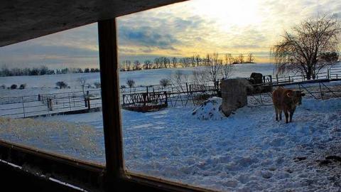 Say Cheese! - Black-Horse-Corner-Ghost-Town43.jpg