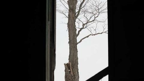 Feb 2015 - S.S.-Little-Lakes-School6.jpg