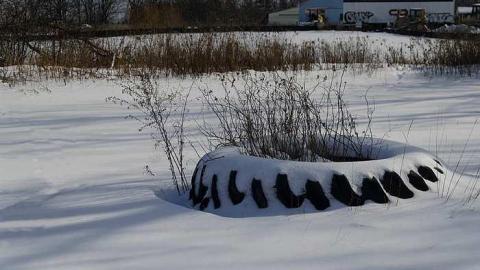 Forgotten - DSC_5175.jpg