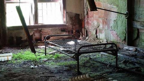 Dangerous But Worth The Risk - DSC02982.jpg