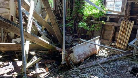 Dangerous But Worth The Risk - DSC02986.jpg