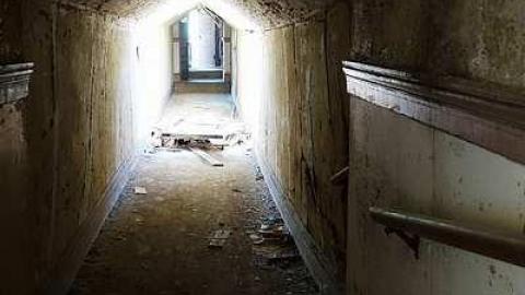 Dangerous But Worth The Risk - DSC02987.jpg