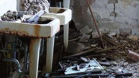 Dangerous But Worth The Risk - DSC02991.jpg