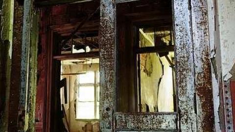 Dangerous But Worth The Risk - DSC02993.jpg